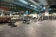 Basic-Fit - GALLERY
