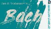 Bau & Ausbauservice Bach - GALLERY