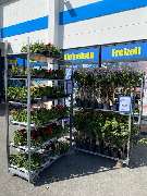 BAUAKTIV Discount Baumarkt Lübeck - GALLERY