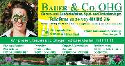 Bauer & Co. OHG Landschafts- und Gartenbau - GALLERY