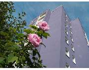 Baugenossenschaft Hof eG - GALLERY