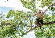 BAUM BUAM - 3