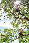 BAUM BUAM - 5