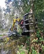 Baum & Forst Tiege - GALLERY