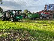 Baum & Forst Tiege - GALLERY