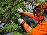 Baum & Garten Hannover - GALLERY