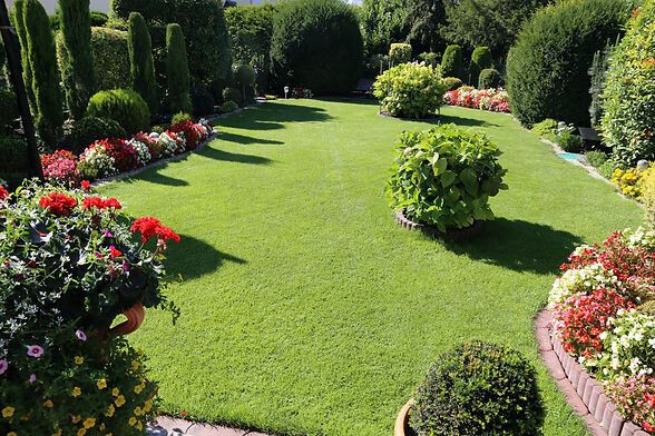 Baum & Garten LumberLex GmbH - 4