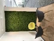 Baum & Raum Daniela Hinkelmann - 5
