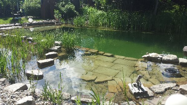 Baum und Borke Jessen, Wege GbR - GALLERY
