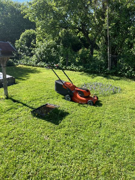 Baum und Gartenpflege Lukas Pietrzak - IMG_2819.jp …