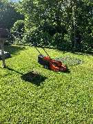 Baum und Gartenpflege Lukas Pietrzak - IMG_2819.jpeg