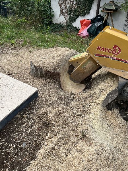 Baum und Gartenpflege Lukas Pietrzak - IMG_3155.jp …