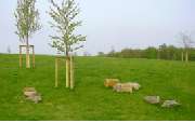 Baum- und Gartenpflege Wojtkowski Inh. Manuel Wojtkowski - GALLERY