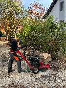 Baum- und Grünanlagenpflege Ritter - GALLERY