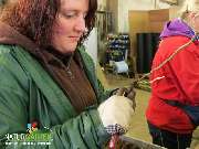 Baum- und Rosenschule Müller - GALLERY