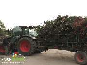 Baum- und Rosenschule Müller - GALLERY