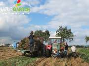 Baum- und Rosenschule Müller - GALLERY