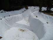 Baum- und Rosenschule Müller - GALLERY