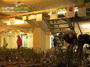 Baum- und Rosenschule Müller - GALLERY