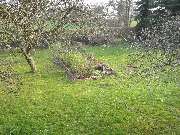 Baum- und Rosenschule Müller - GALLERY