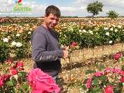 Baum- und Rosenschule Müller - GALLERY