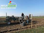 Baum- und Rosenschule Müller - GALLERY