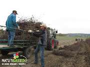 Baum- und Rosenschule Müller - GALLERY