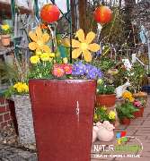 Baum- und Rosenschule Müller - GALLERY