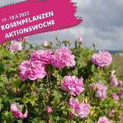 Baum- und Rosenschule Müller - GALLERY