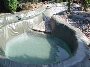 Baum- und Rosenschule Müller - GALLERY