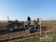 Baum- und Rosenschule Müller - GALLERY