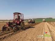 Baum- und Rosenschule Müller - GALLERY