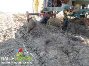 Baum- und Rosenschule Müller - GALLERY