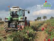 Baum- und Rosenschule Müller - GALLERY