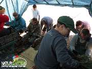 Baum- und Rosenschule Müller - GALLERY