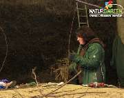 Baum- und Rosenschule Müller - GALLERY