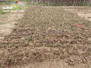 Baum- und Rosenschule Müller - GALLERY