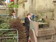 Baum- und Rosenschule Müller - GALLERY