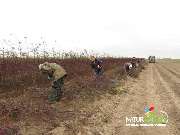 Baum- und Rosenschule Müller - GALLERY