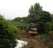 Baum- und Rosenschule Müller - GALLERY