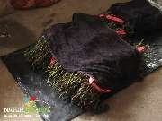 Baum- und Rosenschule Müller - GALLERY