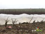 Baum- und Rosenschule Müller - GALLERY