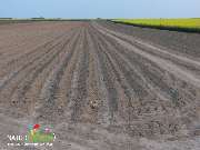 Baum- und Rosenschule Müller - GALLERY