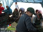 Baum- und Rosenschule Müller - GALLERY