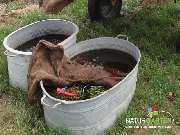 Baum- und Rosenschule Müller - GALLERY