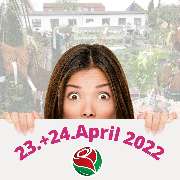 Baum- und Rosenschule Müller - GALLERY