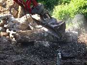 Baum- und Rosenschule Müller - GALLERY