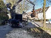 Baum- und Strauchpflege Mathias Keßeler - GALLERY