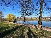 Baum- und Strauchpflege Mathias Keßeler - GALLERY