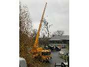 Baum- und Strauchpflege Mathias Keßeler - GALLERY